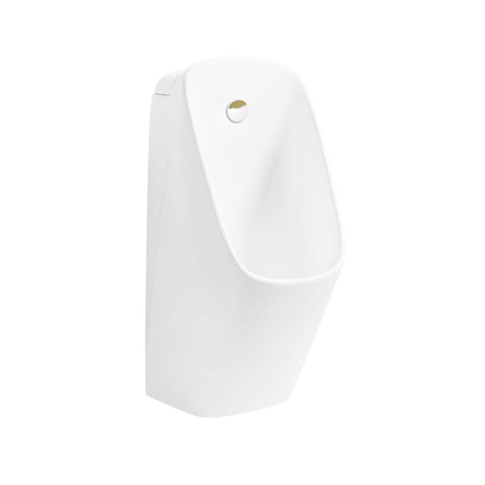 Picture of Urinal