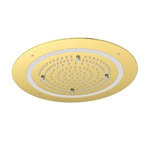 Picture of Duoflo Shower Round Shape - Gold Bright PVD