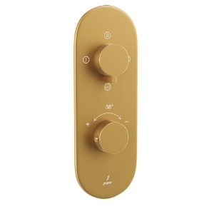 Picture of Aquamax Thermostatic Shower Mixer - Gold Matt PVD
