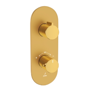 Picture of Aquamax Thermostatic Shower Mixer - Lever: Gold Bright PVD | Body: Gold Matt PVD